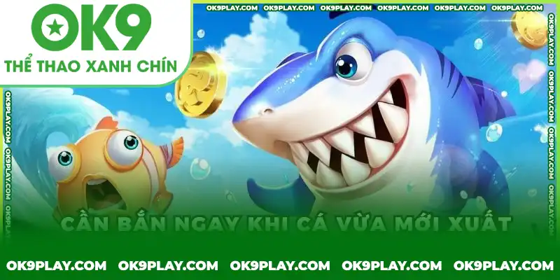Mẹo chơi Bắn cá H5 hiệu quả Mẹo chơi Bắn cá H5 hiệu quả